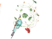 23-24 Maggio – Silvia Molinari