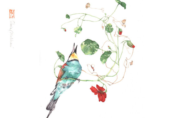 23-24 Maggio – Silvia Molinari