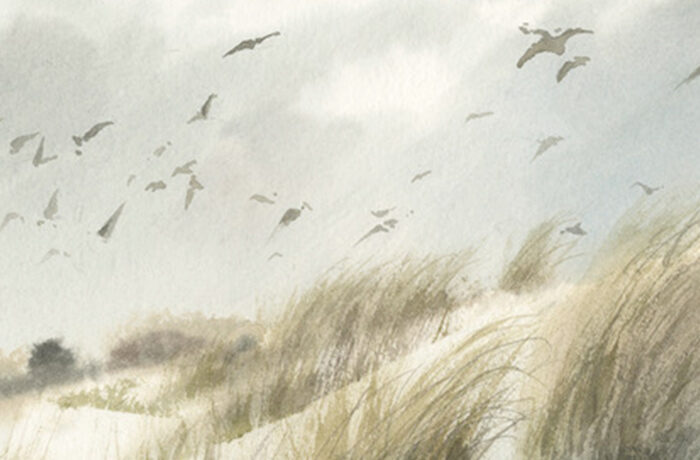 21-22 Novembre – Marina Marcolin
